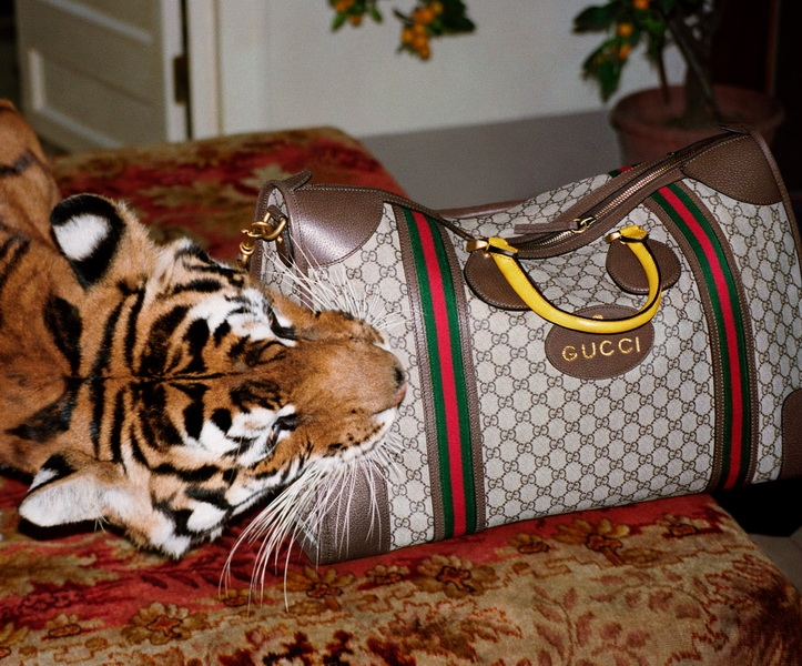 Gucci 2017 春夏系列广告形象大片_5_调整大小.jpg